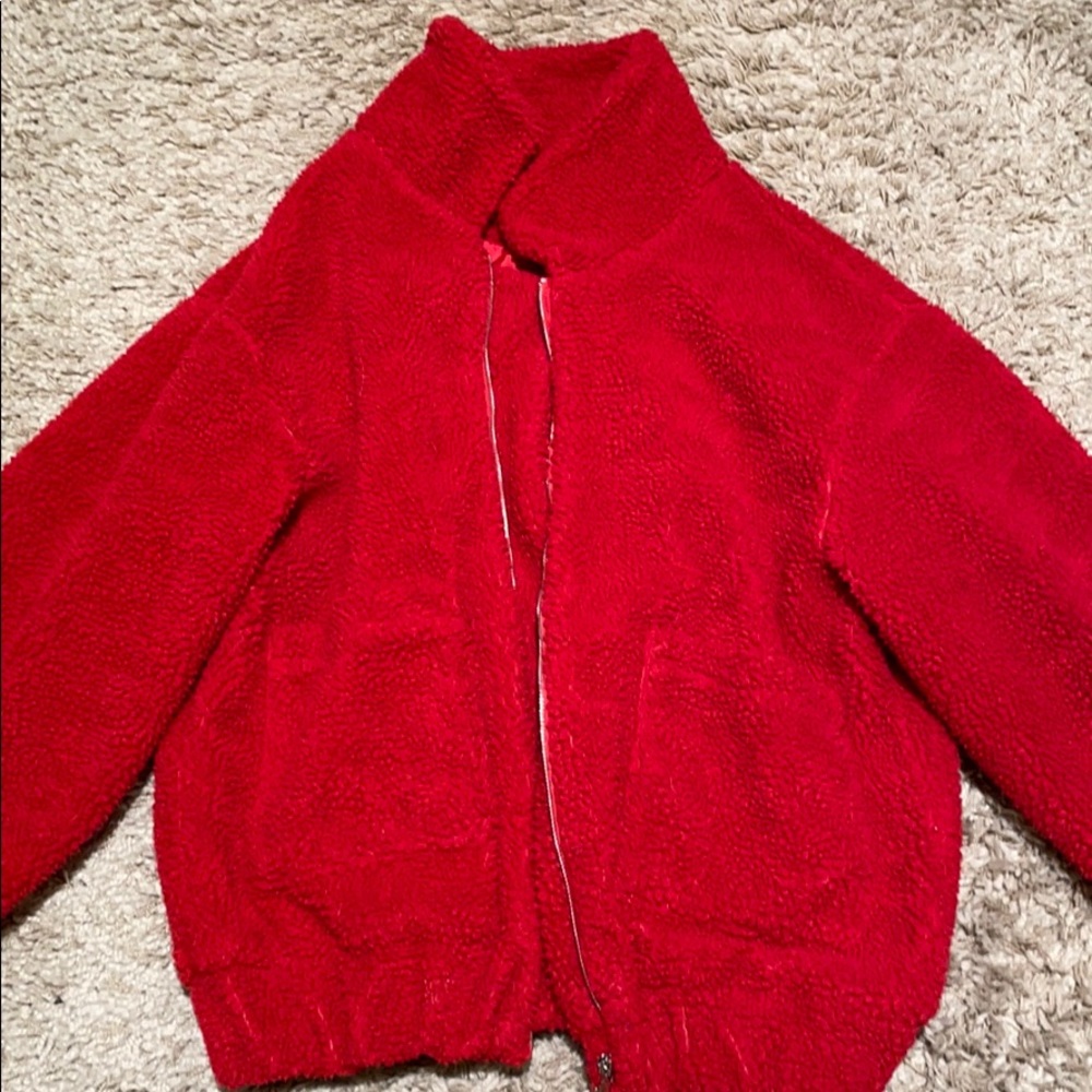 teddy bear jacket